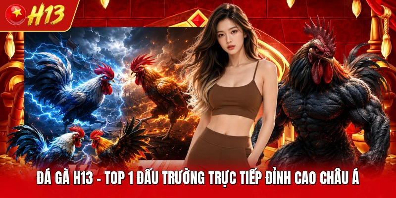 Đá Gà H13 - Top 1 Đấu Trường Trực Tiếp Đỉnh Cao Châu Á