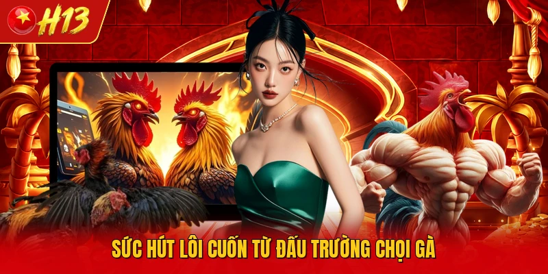Sức hút lôi cuốn từ đấu trường chọi gà